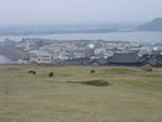 DSC06771