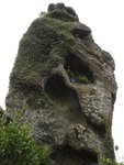 DSC06785