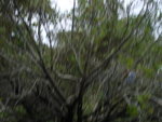 DSC08379