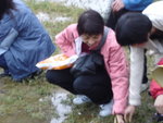 DSC08381