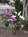 DSC08260