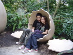 Ocean Park 16