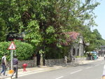 DSC08029