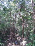 DSC08040