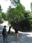 DSC08045