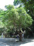 DSC08053