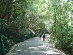 DSC08054