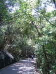 DSC08055