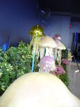 DSC08725
