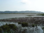 Tour to Macau 20