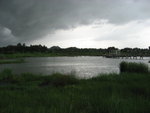 IMG_0768