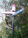 DSC08609