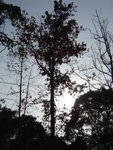DSC08691