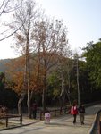 DSC08693