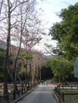 DSC08694