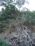 DSC08704