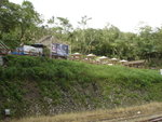 DSC00461