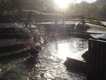 DSC00536