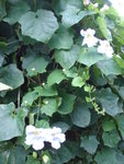 DSC00544