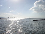 DSC00727