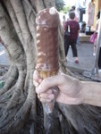 DSC00753