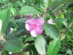 R0010571