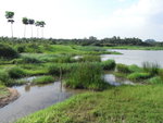 R0010574