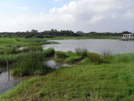 R0010575