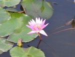 R0010588