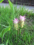 R0010590