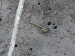 R0010599