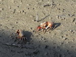 R0010601