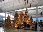 DSC00008
