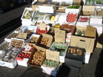 DSC00297