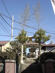 DSC00336