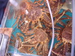 DSC00380