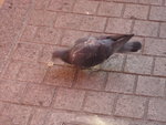 DSC00482