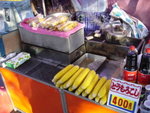 DSC100035