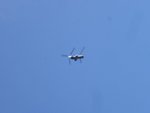 R0014970DSC00338