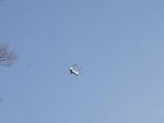 R0014970DSC00339