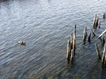 R0014970DSC00369