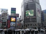 DSC00437