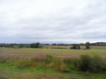 R0017401