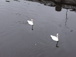 R0017429