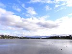 R0017814