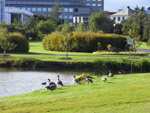 R0017829