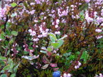 R0018822