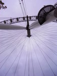 R0020229