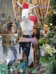 DSC00257