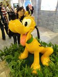 DSC00356
